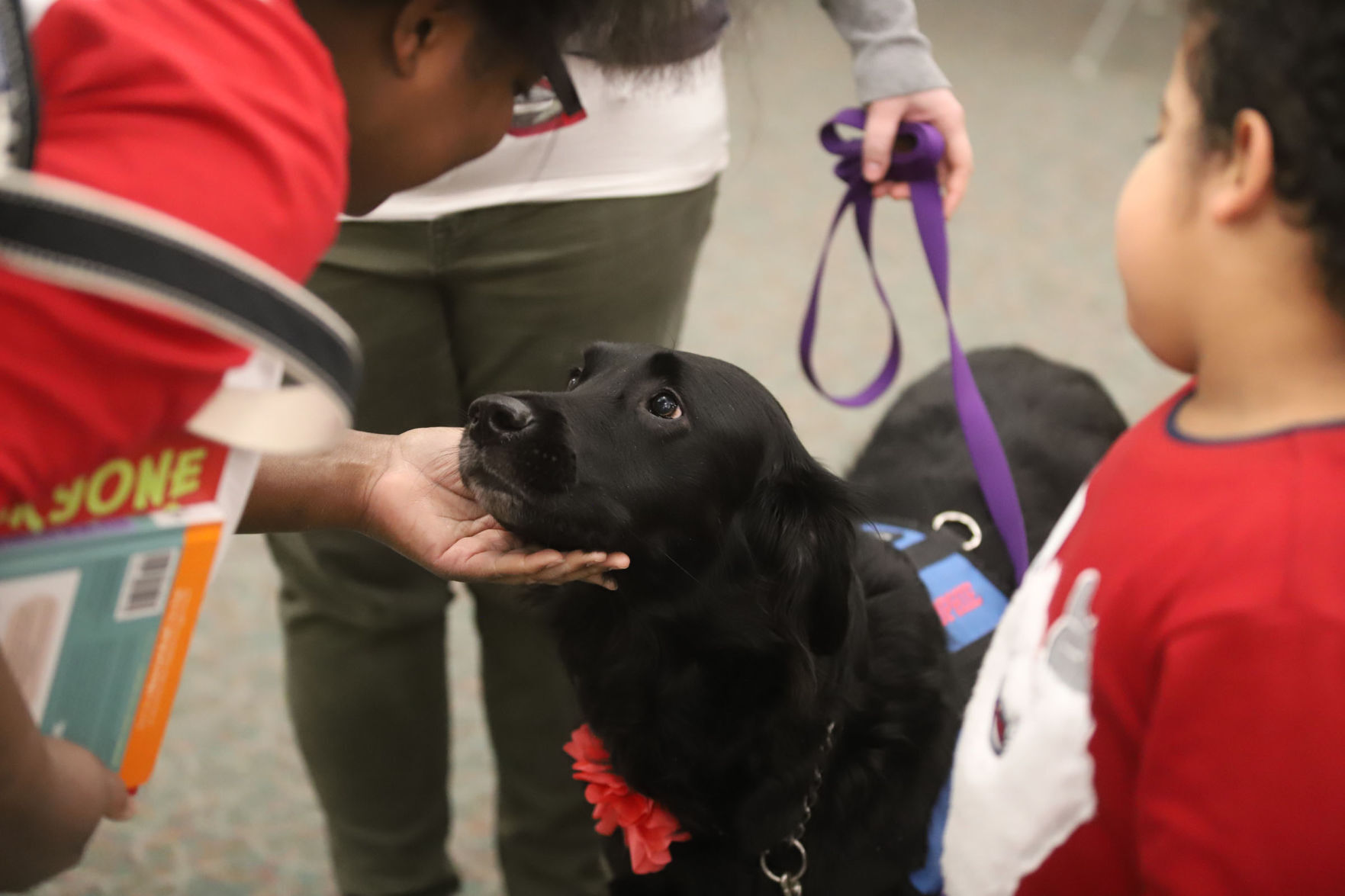 PawPrint Reading 19 1.3.19.jpg